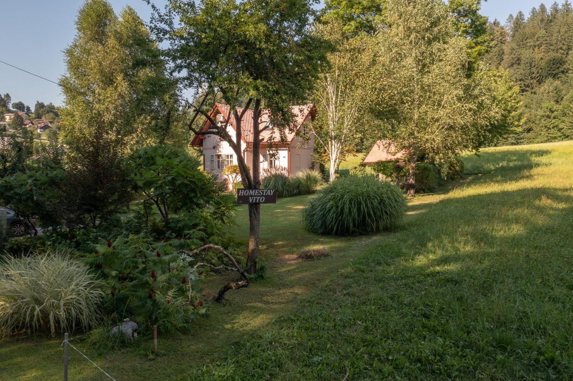 Homestay Vito By Lake Bled Zewnętrze zdjęcie