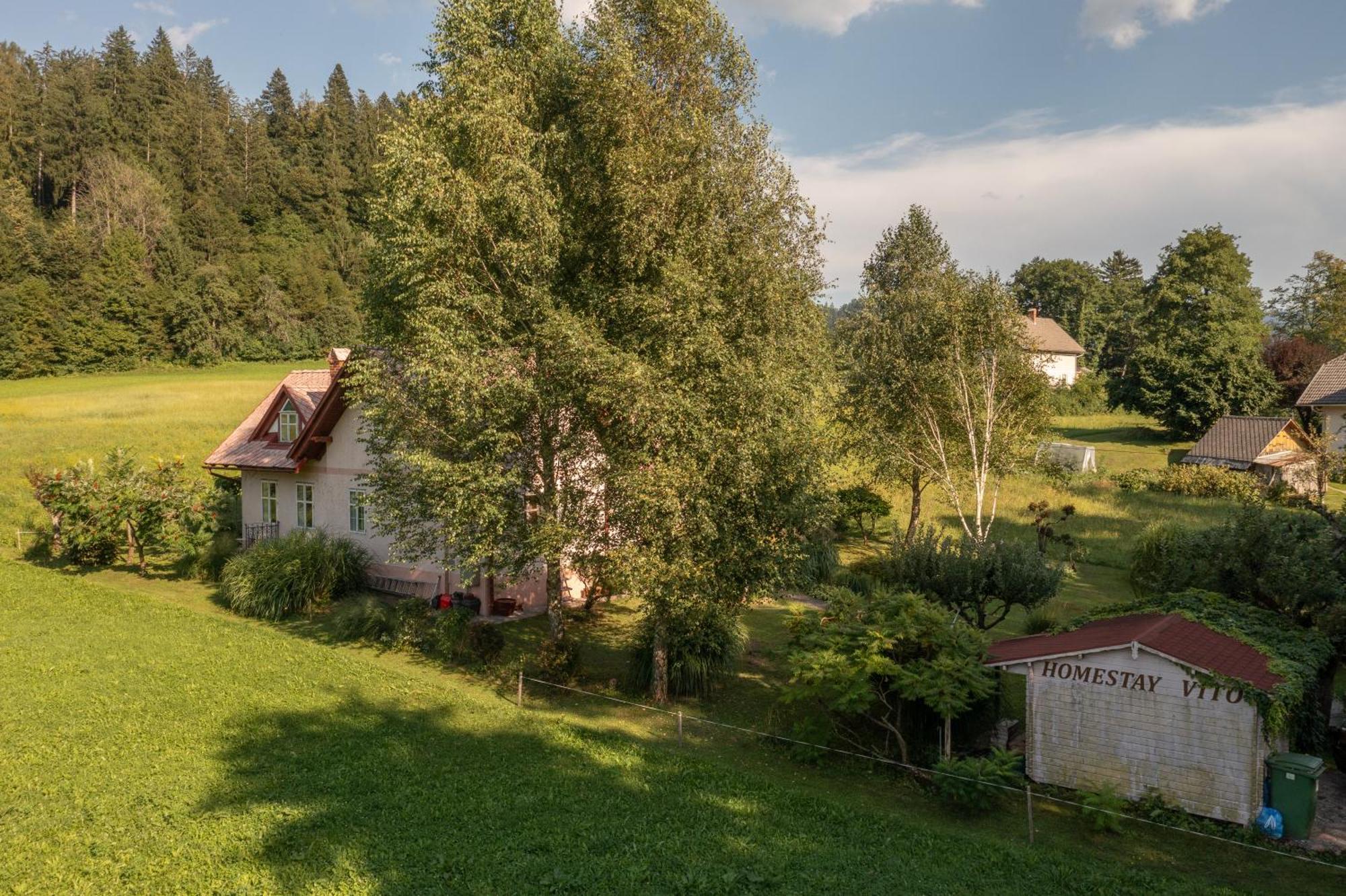 Homestay Vito By Lake Bled Zewnętrze zdjęcie