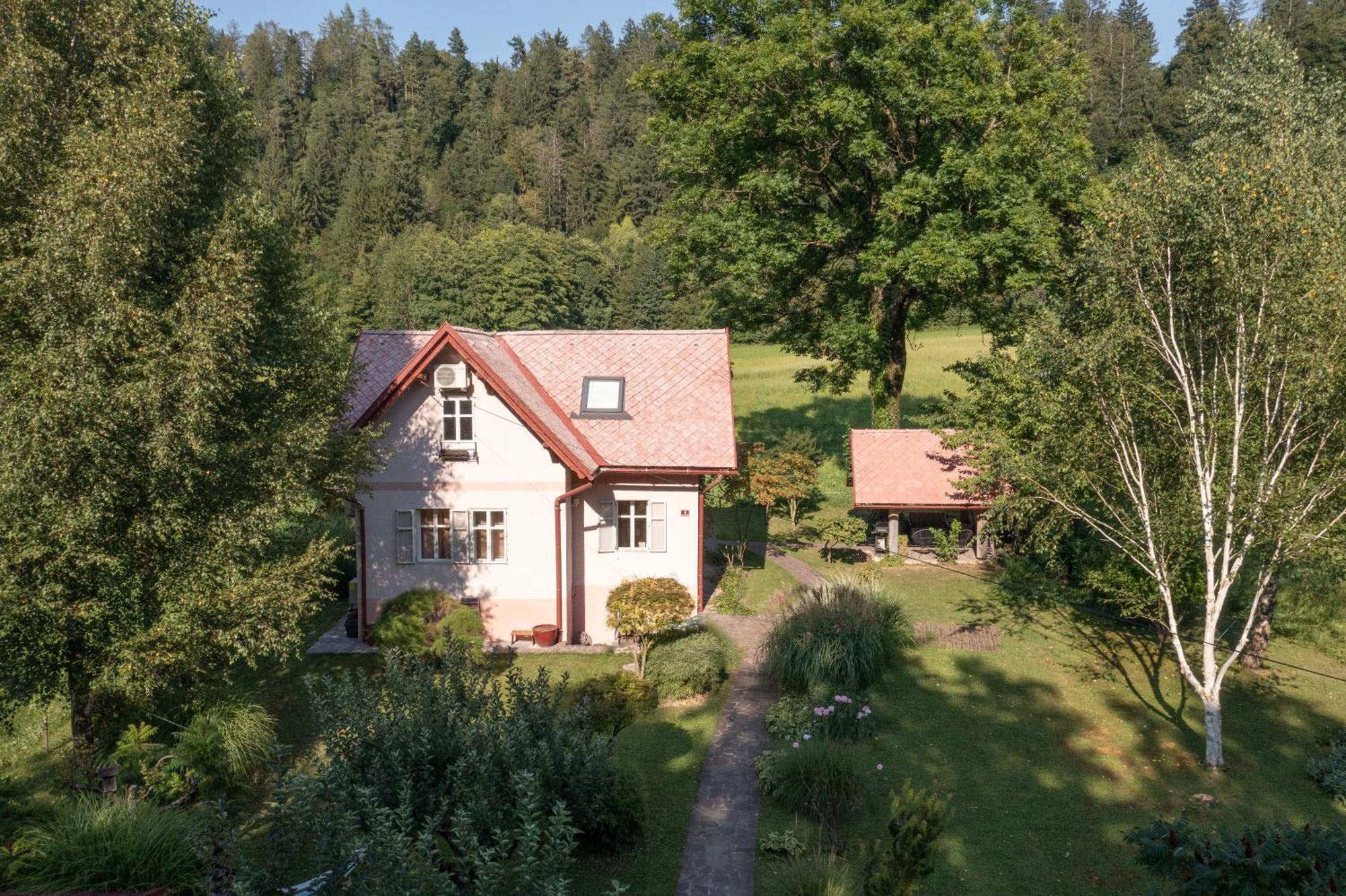 Homestay Vito By Lake Bled Zewnętrze zdjęcie