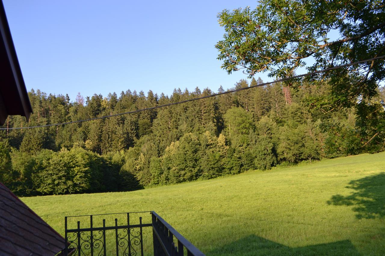 Homestay Vito By Lake Bled Zewnętrze zdjęcie